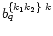 $b_{q}^{\{k_{1}k_{2}\}\;k}$