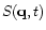 $S({\bf q},t)$